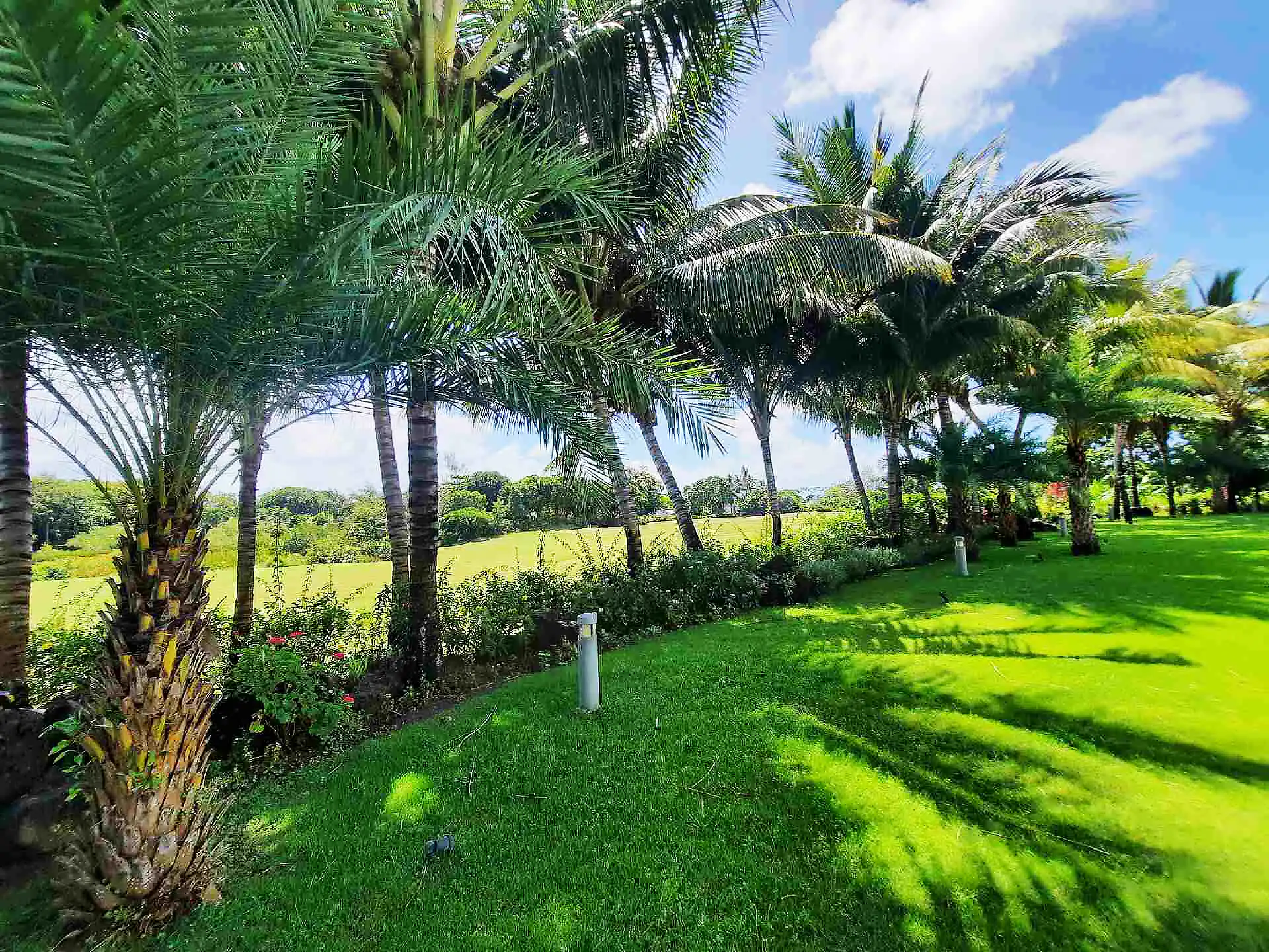 Villa White 13